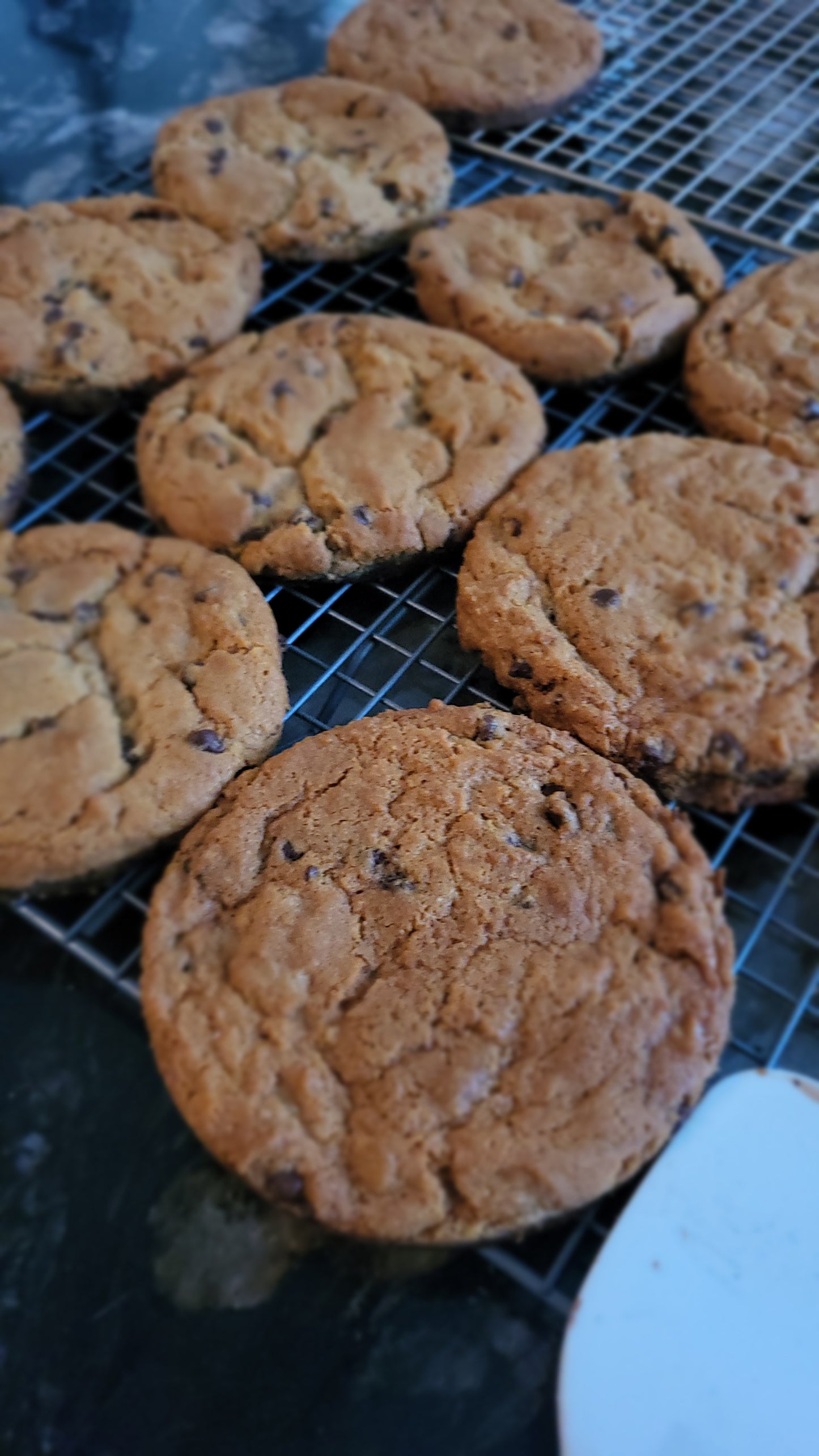 Chocolate Chip Cookies(Dozen)