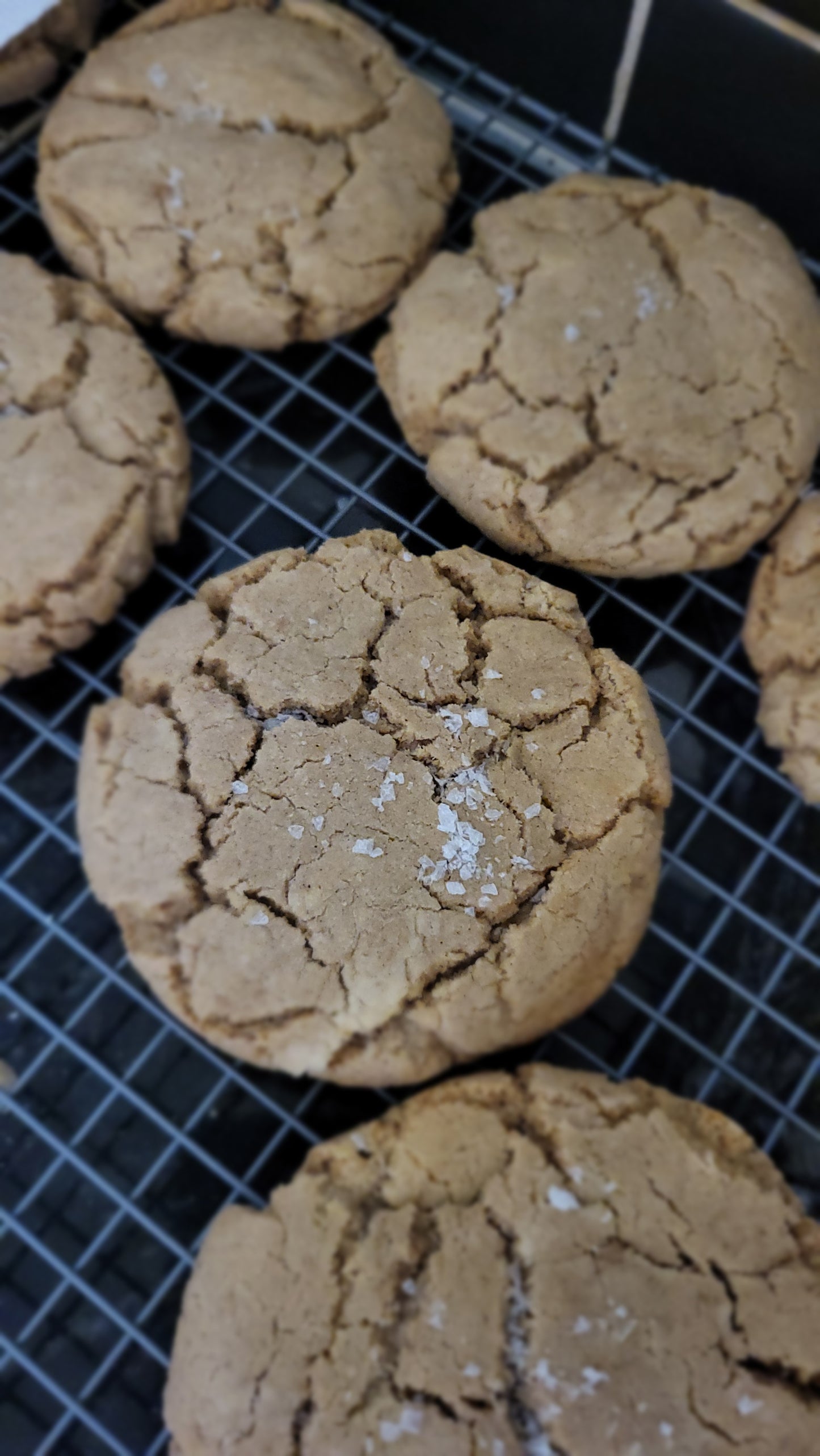 Biscoff Cookies(Dozen)
